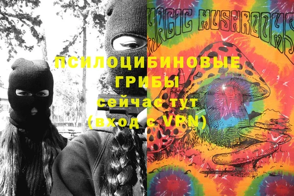 соль ск Волосово