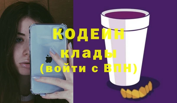соль ск Волосово