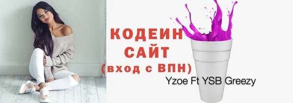 соль ск Волосово