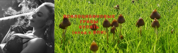 мефедрон мука Богородицк