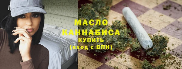 дживик Верхний Тагил