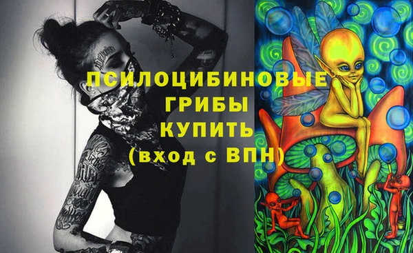 соль ск Волосово