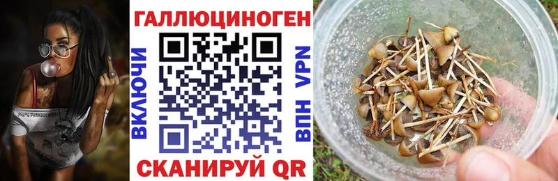 Псилоцибиновые грибы ЛСД  kraken вход  Зеленоградск 