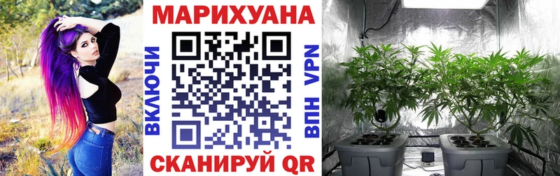 Бошки марихуана гибрид  Зеленоградск 